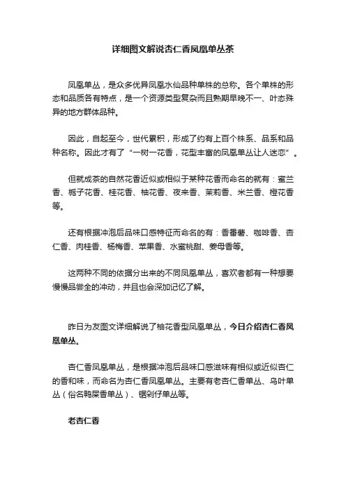 详细图文解说杏仁香凤凰单丛茶