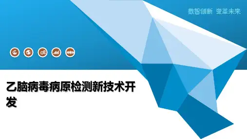 乙脑病毒病原检测新技术开发