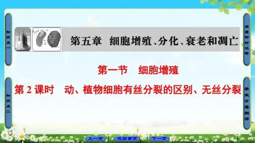 苏教版生物必修1课件：第5章 第1节 第2课时 动、植物细胞有丝分裂的区别、无丝分裂