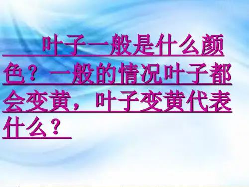 绘本一片叶子落下来ppt课件
