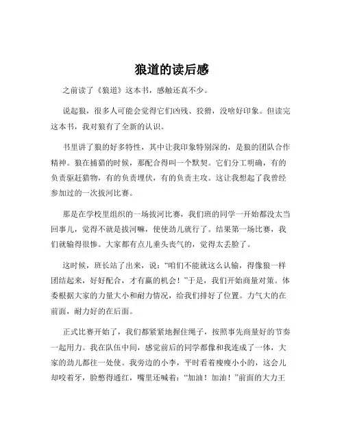 狼道的读后感