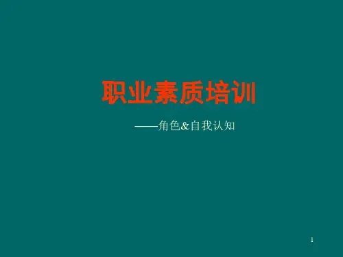 职业素质培训(PPT38页)