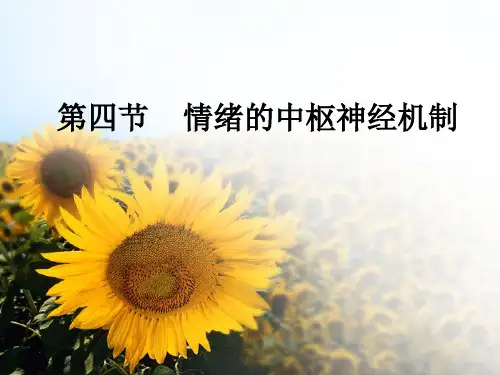 情绪的中枢神经机制