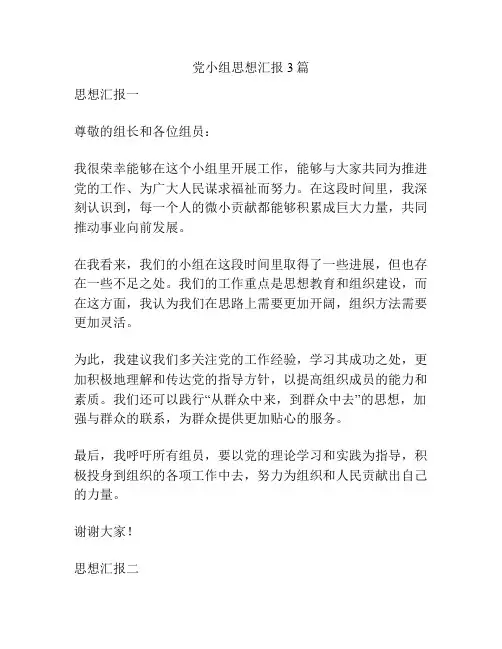 党小组思想汇报3篇
