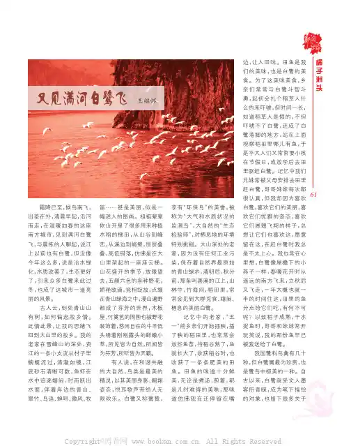 又见满河白鹭飞
