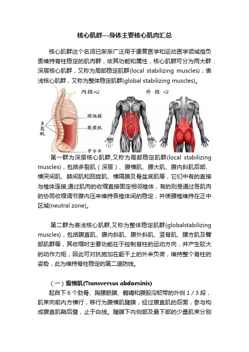 核心肌群—身体主要核心肌肉汇总