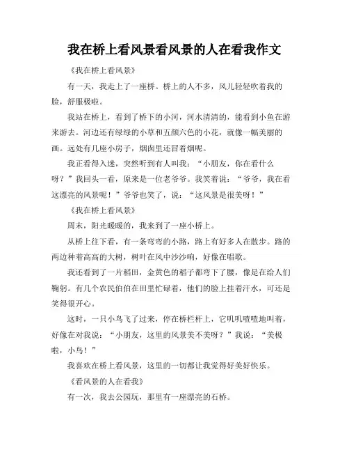 我在桥上看风景看风景的人在看我作文