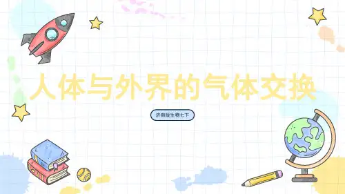 济南版生物七年级下册人体与外界的气体交换 课件