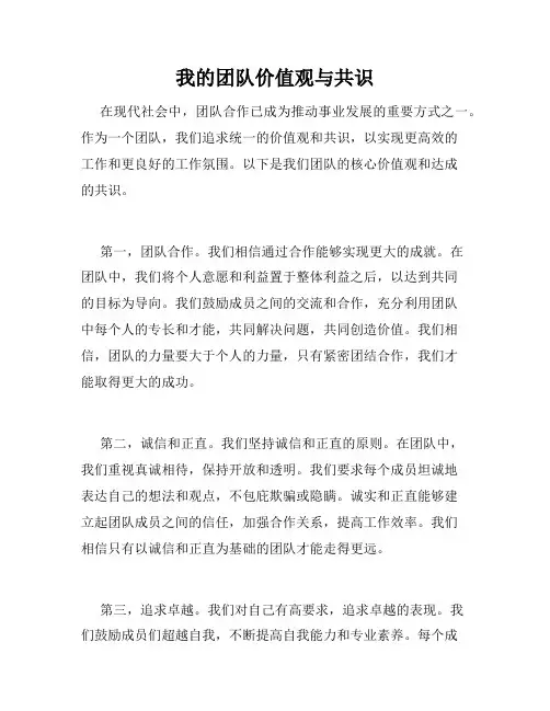 我的团队价值观与共识