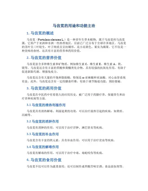 马齿苋的用途和功能主治
