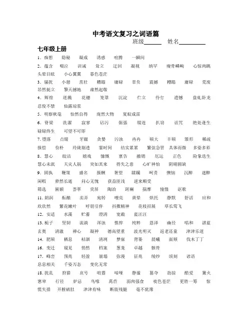 中考语文复习之词语篇