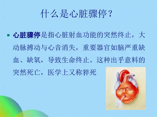 术中心脏骤停应急预案(共22张PPT)