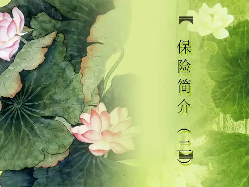 第一章保险分类ppt课件