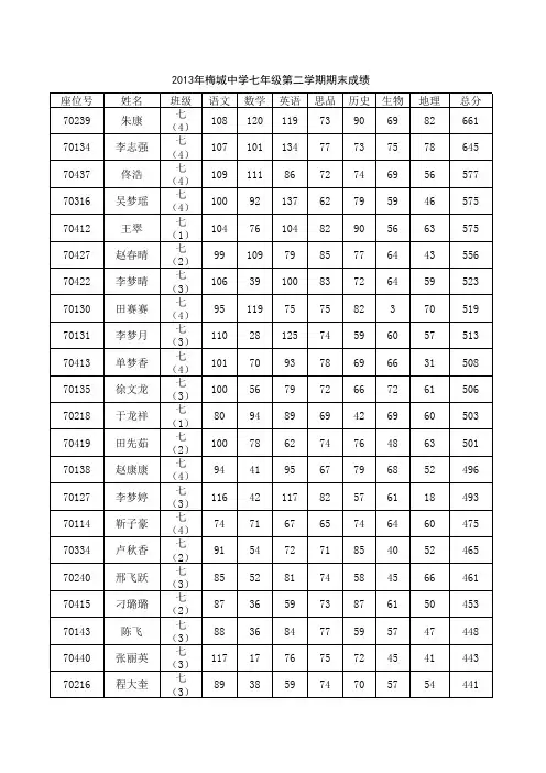 2013年梅城中学七年级期末考试成绩表