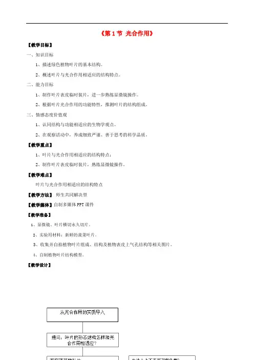 《光合作用》word教案 (公开课获奖)2022年北师大版 (26)