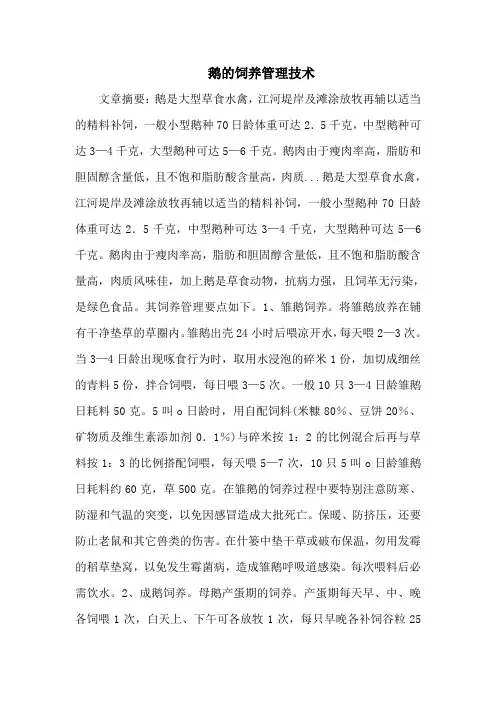 鹅的饲养管理技术