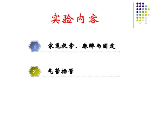 机能学实验家兔的捉拿麻醉气管插管