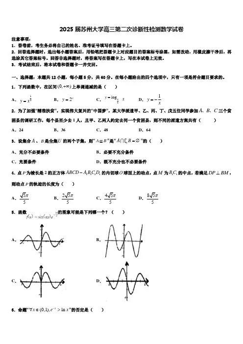 2025届苏州大学高三第二次诊断性检测数学试卷含解析