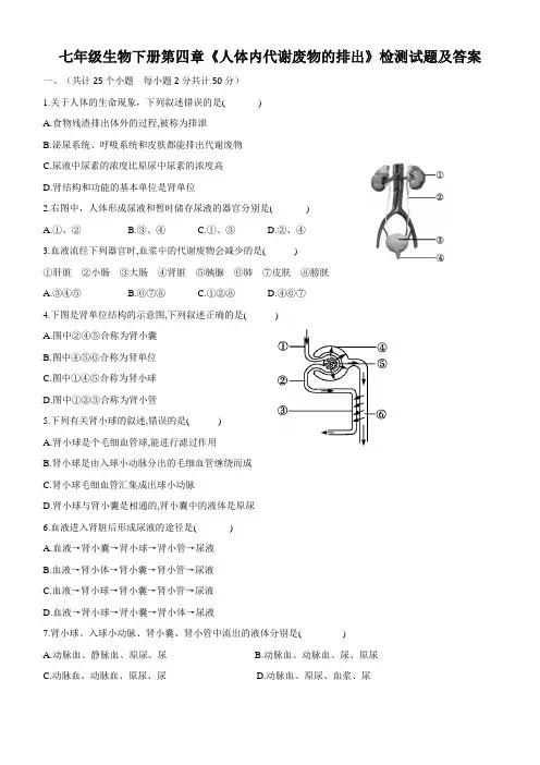 七年级生物下册第四章《人体内代谢废物的排出》检测试题及答案