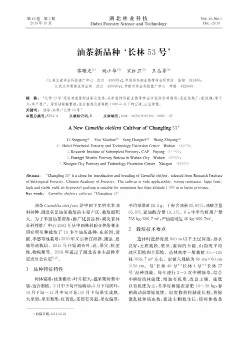 油茶新品种 ‘长林53号’