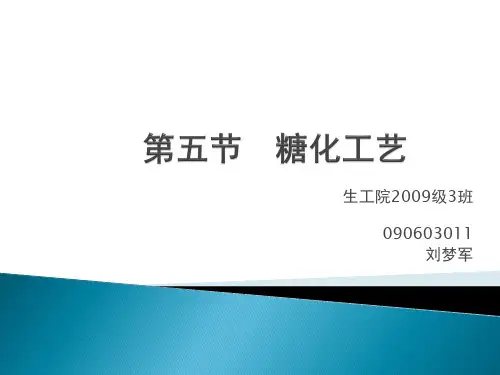 糖化工艺