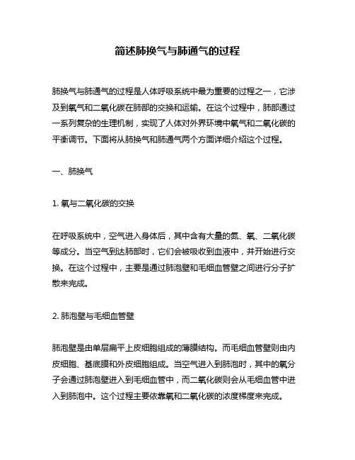 简述肺换气与肺通气的过程