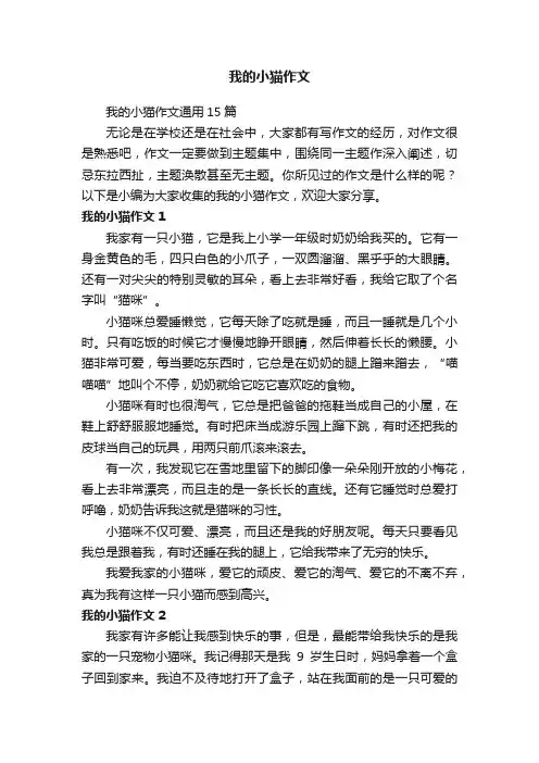 我的小猫作文通用15篇