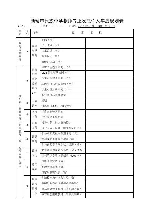 曲靖市民族中学教师专业发展个人年规划表