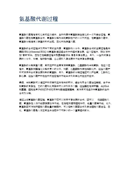 氨基酸代谢过程