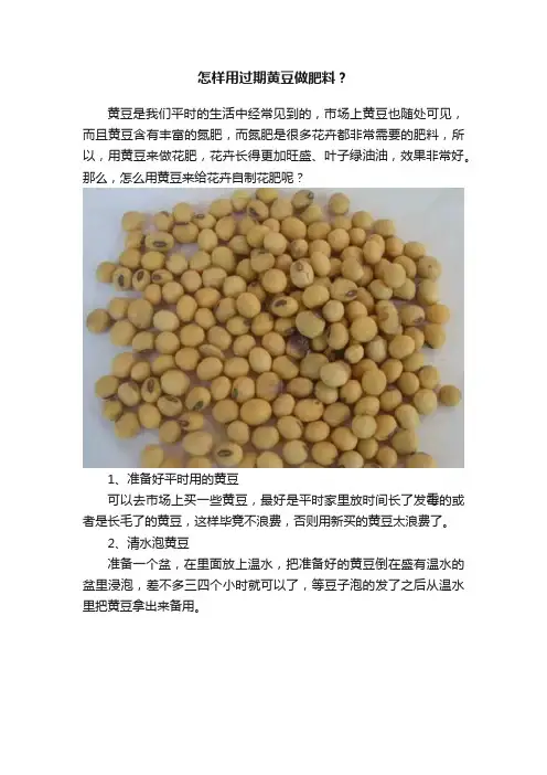 怎样用过期黄豆做肥料？