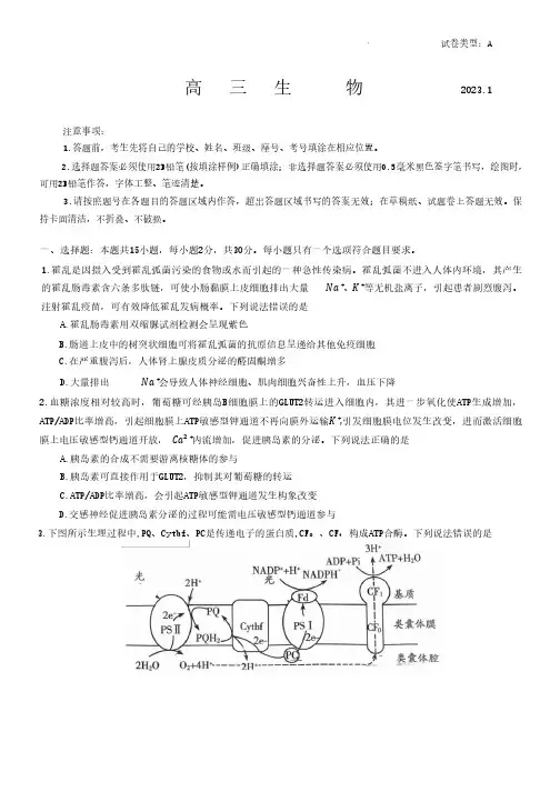 2023年山东省潍坊市期末考试生物试卷及答案