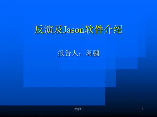 反演及Jason软件介绍 PPT