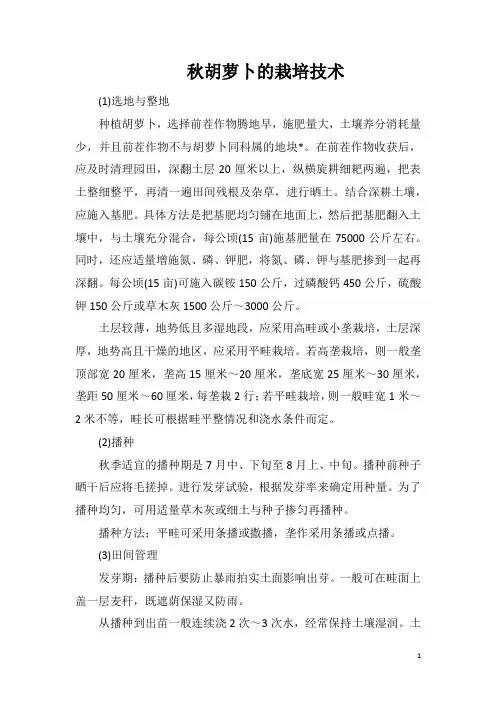 秋胡萝卜的栽培技术