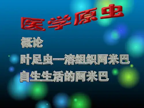 第八讲 原虫概论、阿米巴