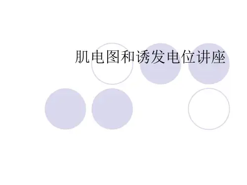 肌电图和诱发电位讲座资料
