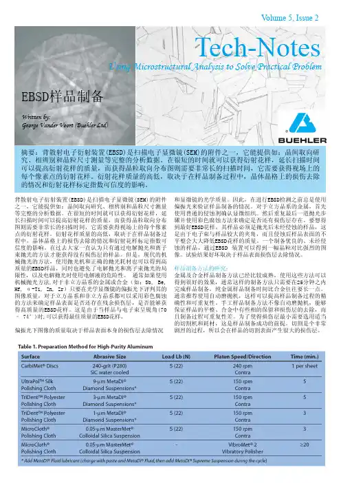 EBSD样品制备