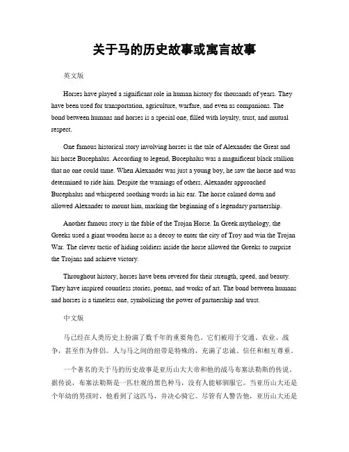 关于马的历史故事或寓言故事
