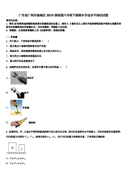 广东省广州市番禺区2024届物理八年级下册期末学业水平测试试题含解析