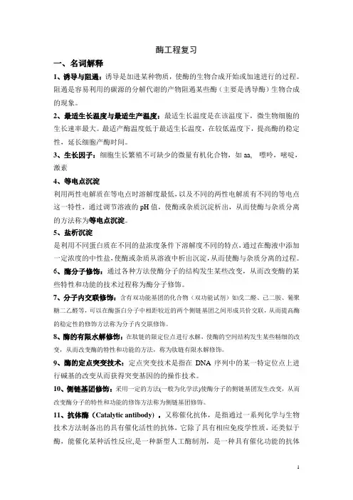 酶工程复习