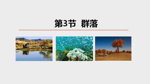 生物群落(PPT课件(初中科学)16张)