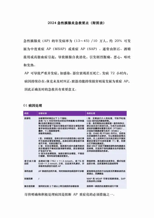 2024急性胰腺炎急救要点(附图表)
