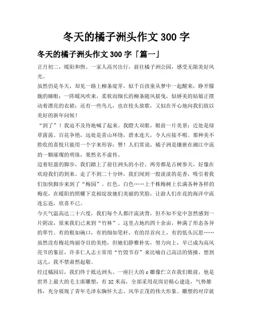 冬天的橘子洲头作文300字