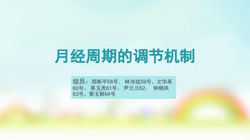 小组58-64号月经周期的调节机制