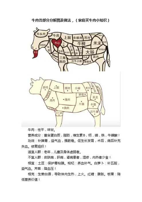 牛肉各部分分解图及做法，（家庭买牛肉小知识）