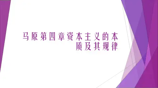 马原第四章资本主义的本质及其规律