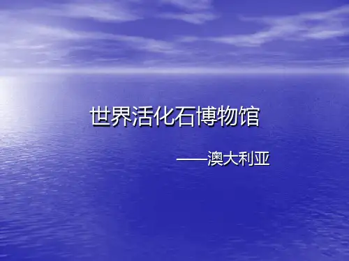 澳大利亚 特有动物