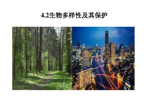 4.2生物多样性及其保护(教学课件)-高中生物人教版(2019)选择性必修二