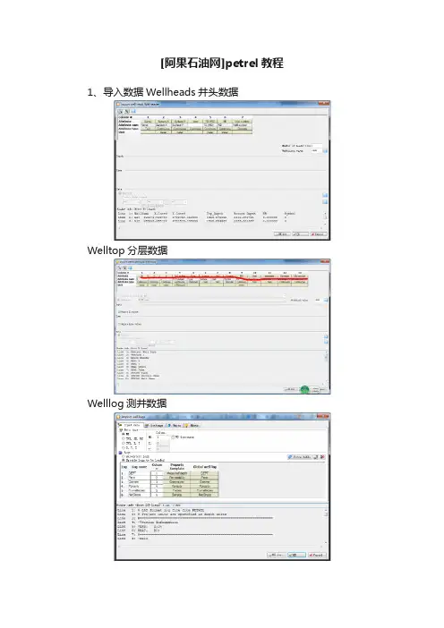 [阿果石油网]petrel教程