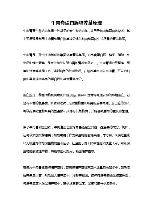 牛肉膏蛋白胨培养基原理