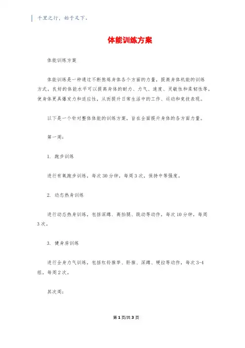 体能训练计划